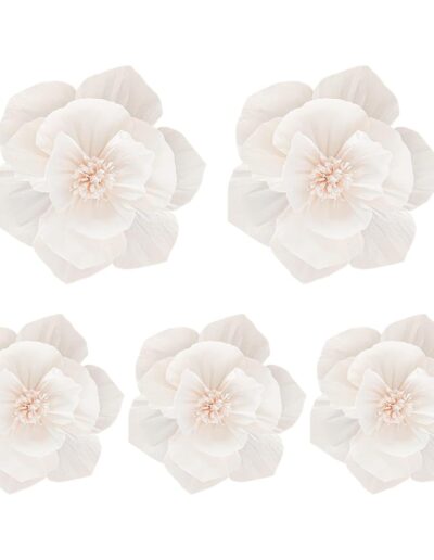 FSSTUD - Lot de 5 grandes fleurs en papier crépon pour décoration de fête (25 & 30 cm)