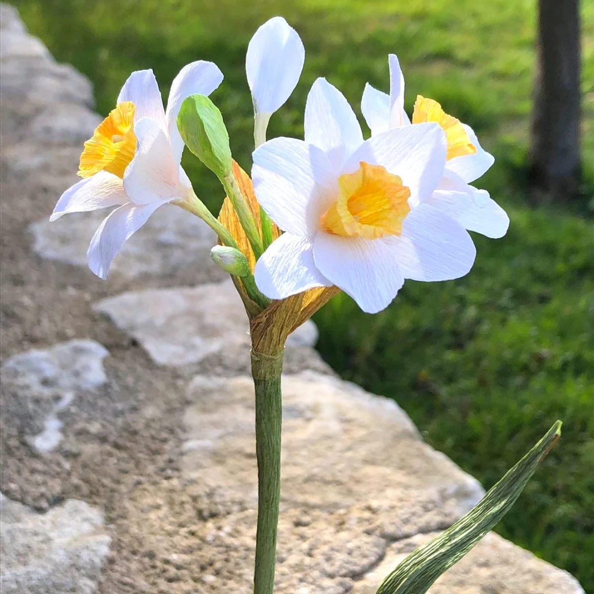 Fiche technique illustrant les étapes de fabrication d une fleur en papier crépon