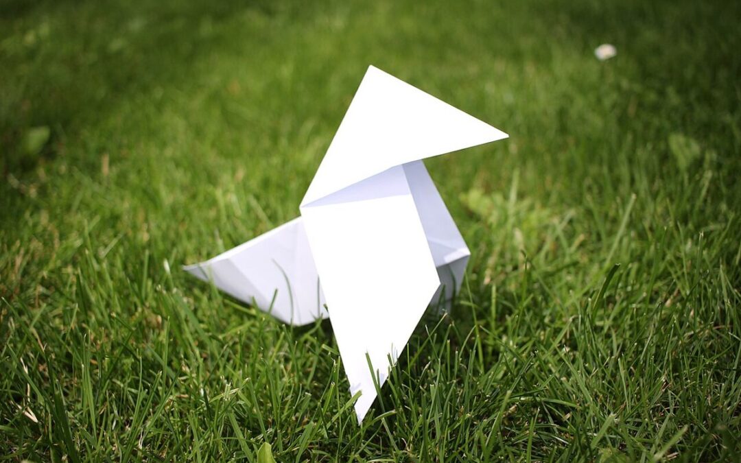 Cocotte en papier blanche posée dans l'herbe