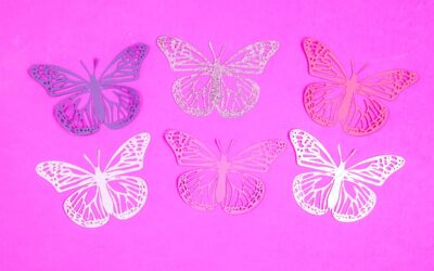 Ma Cricut déchire le papier : les causes et les réglages pour une découpe nette