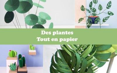 Des plantes tout en papier